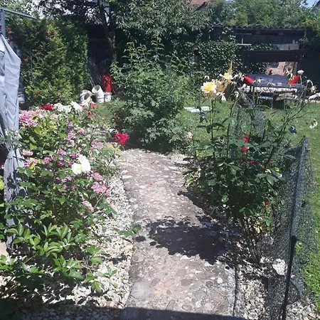 40m2 And Garden